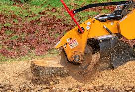 Best Stump Grinding and Removal  in Fountainhead Orchard Hills, MD